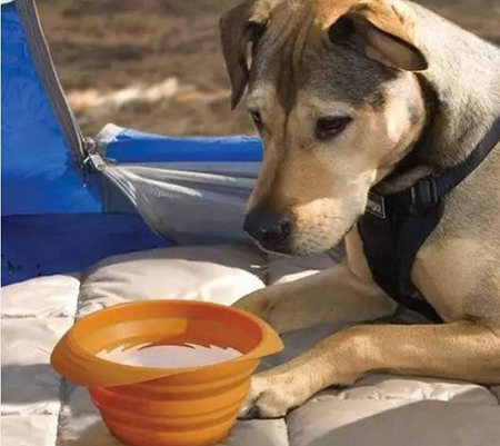 東莞<a href='http://www.458766.com/' class='keys' title='點擊查看關于帝博硅膠制品廠的相關信息' target='_blank'>帝博硅膠制品廠</a>